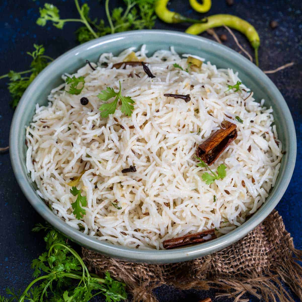 Rice & Biryani – Punjabi Tadkaa